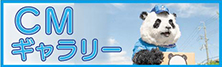 最新のCM情報