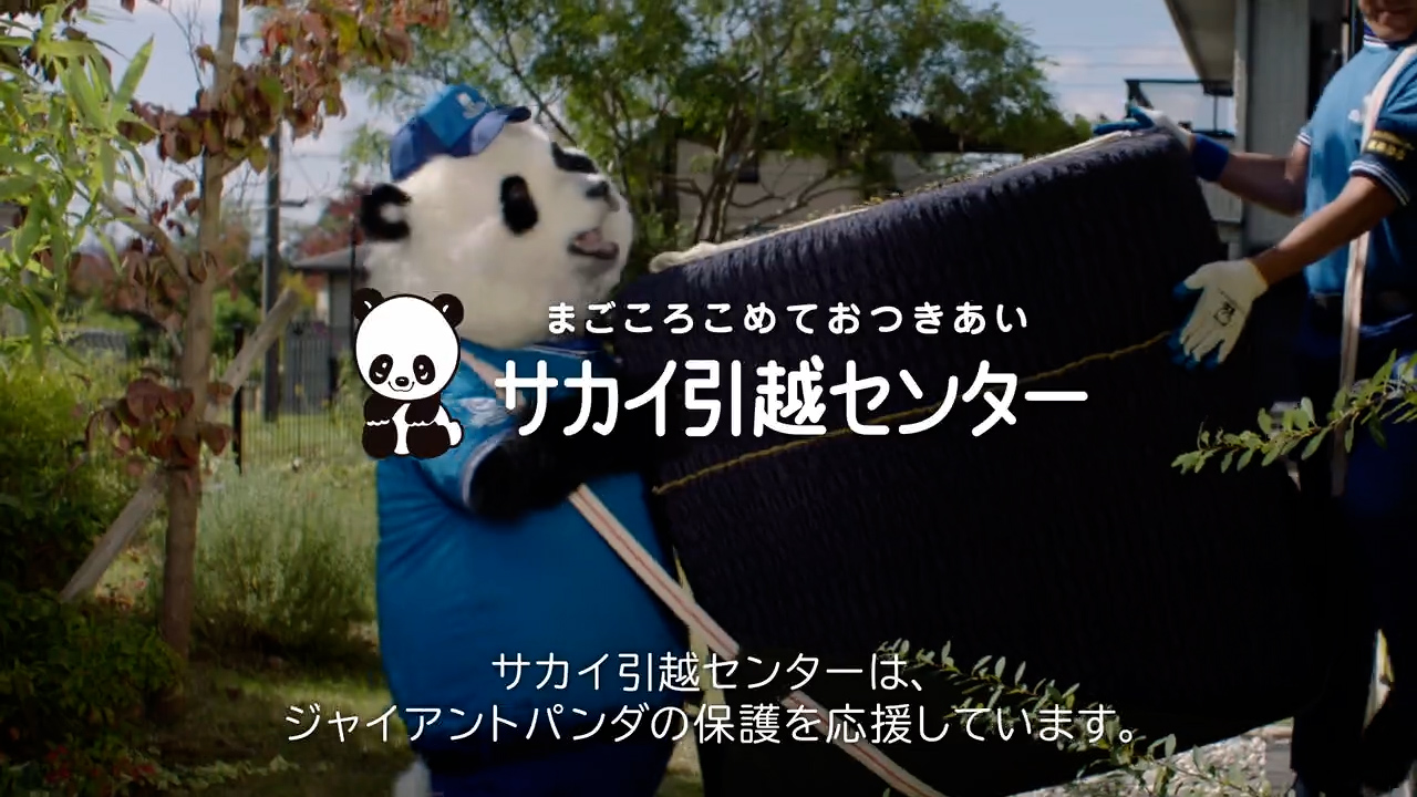 サカイ引越センター Cmギャラリー 引越しの見積もりは引っ越しの専業 サカイ引越センター