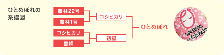 ひとめぼれの系譜図