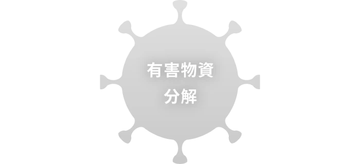 触媒パワーでシックハウス対策！